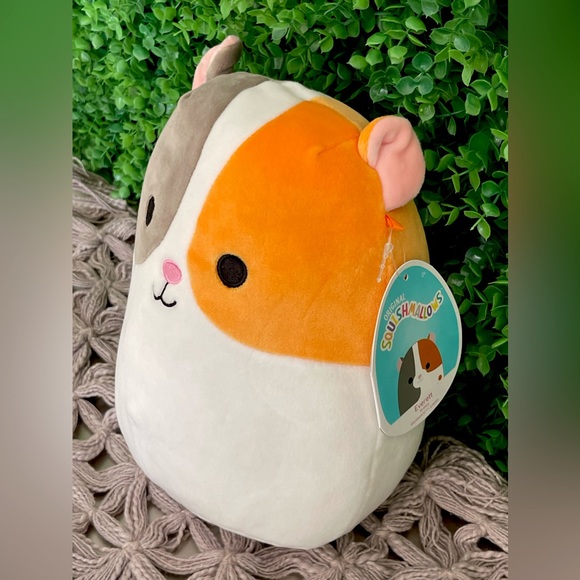 NWT Everett the Guinea Pig Squishmallows 8" - Picture 3 of 6